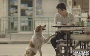 泰國宣傳片廣告的制作創意